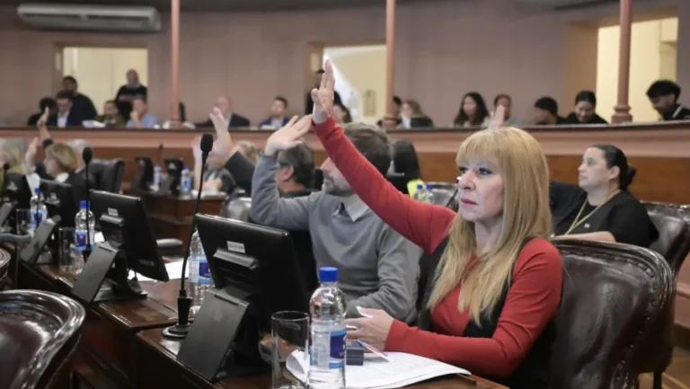 Tres ejemplos de integridad argentina destacados por la diputada Romero