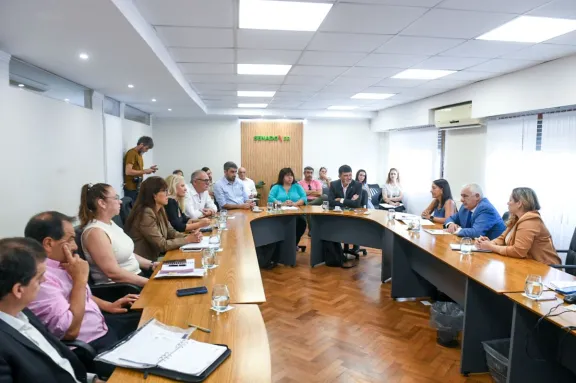 El Senado aprueba el nuevo régimen de licencias por adopción