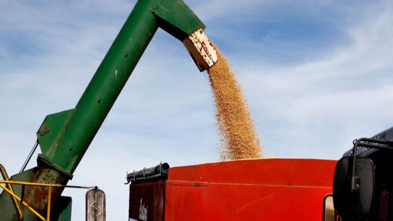 Dudas y cautela en la industria aceitera ante la futura baja de retenciones a la soja