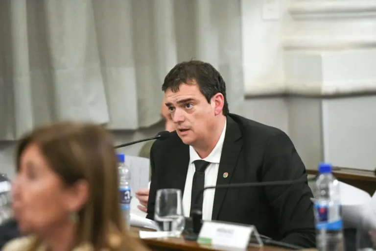 Cavagna: el desafío de administrar los mayores recursos para Hernández