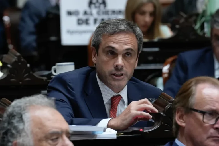 Trabajadores pagan el costo de la reforma previsional de Frigerio, según Michel