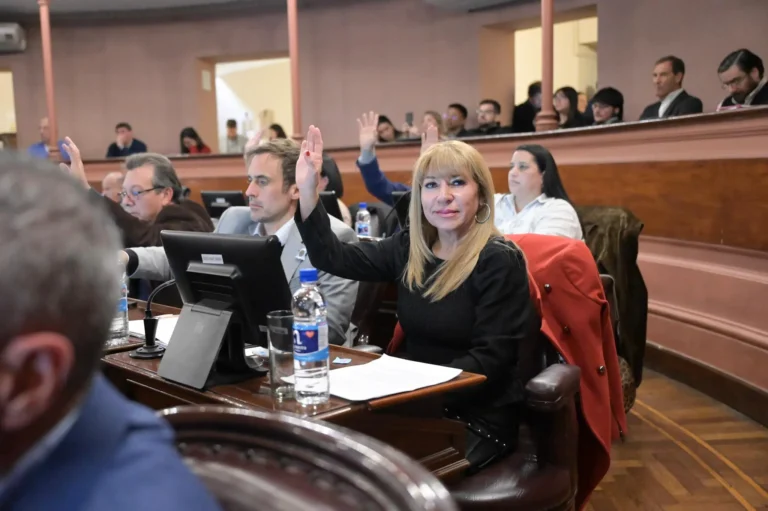 Cuando el poder amenaza, la democracia retrocede: Opinión de la Dra. María Elena Romero