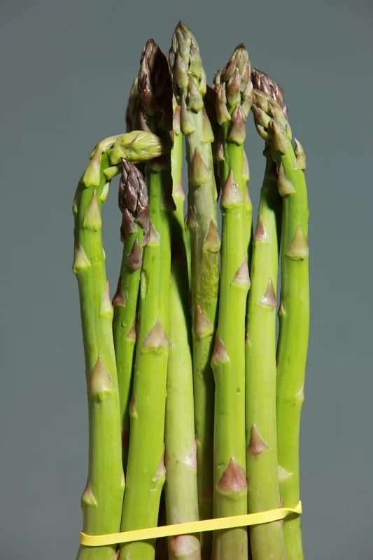 healthy food