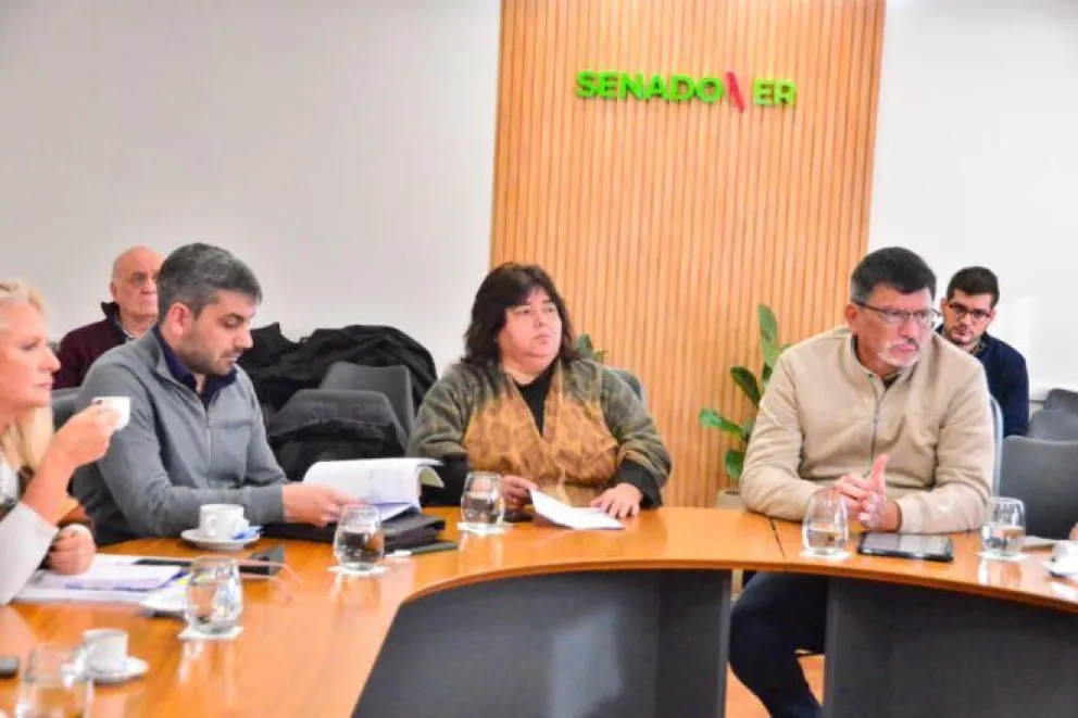 Comisión de Seguimiento de la Deuda Pública: Senadores del PJ estudian proyecto para definir postura