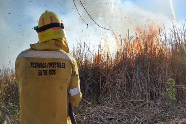 Estrategia Reforzada para la Prevención y Combate de Incendios Forestales