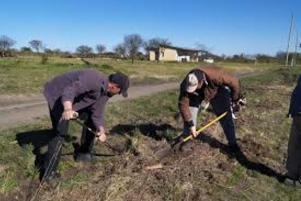 La Colonia Rural: Impacto Vital para los Productores de Guardamonte