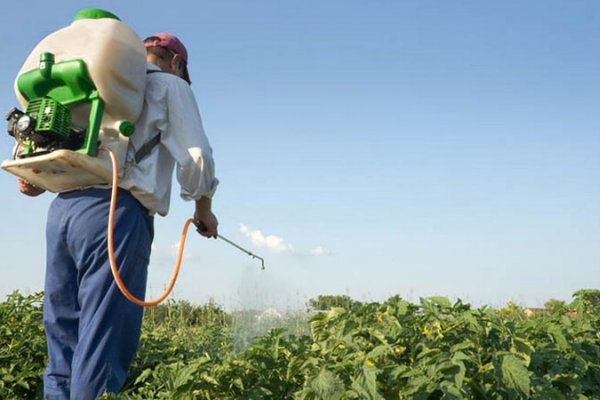 Justicia Prohíbe Fumigaciones en Colonia Ensayo y Zonas Aledañas