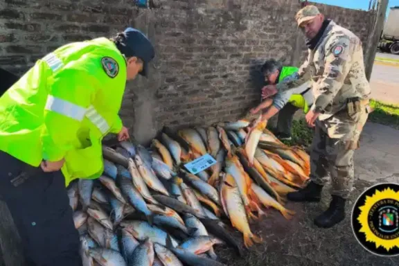 Decomisan casi 200 pescados ilegales en el sur entrerriano