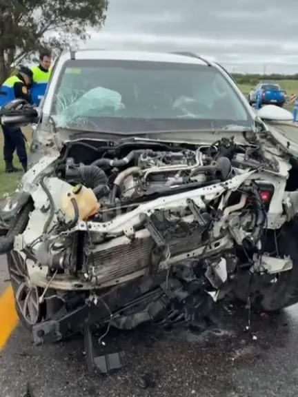 Violento choque en Ruta 14 provocado por perro suelto