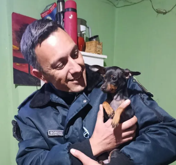 Rescatan a un perrito tras viral video de maltrato