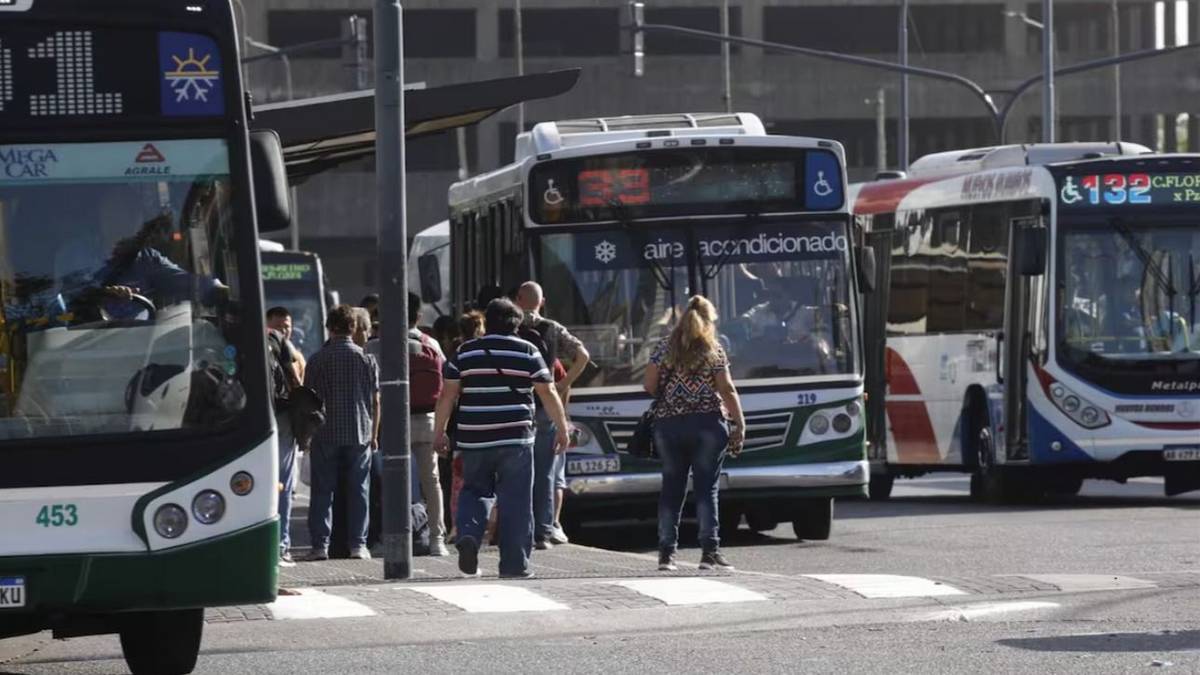 ¿Cuánto gana un chofer de colectivo en junio 2026? Sueldo actual que cobra