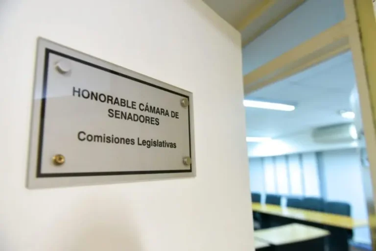 Reuniones clave de la comisión de Reforma previsional: martes y miércoles