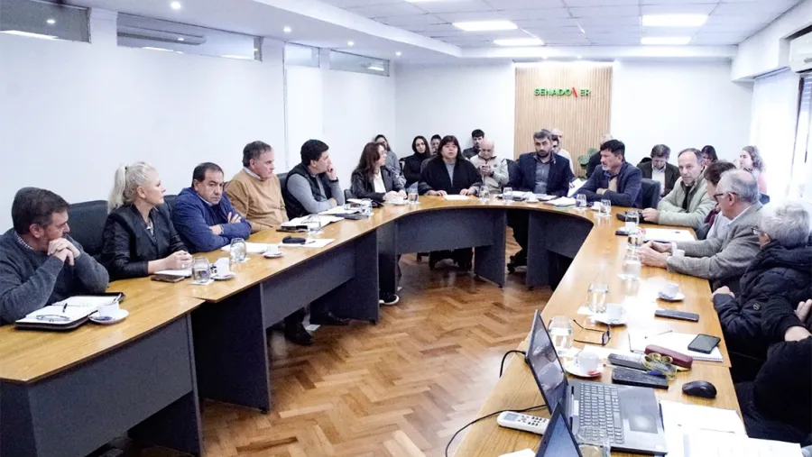 Senado inicia ronda de exposiciones para analizar la reforma previsional del Ejecutivo