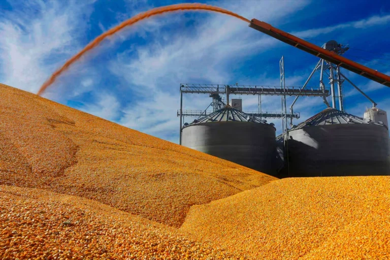 Reducción gradual de retenciones a granos y biocombustibles impulsa al sector agroindustrial