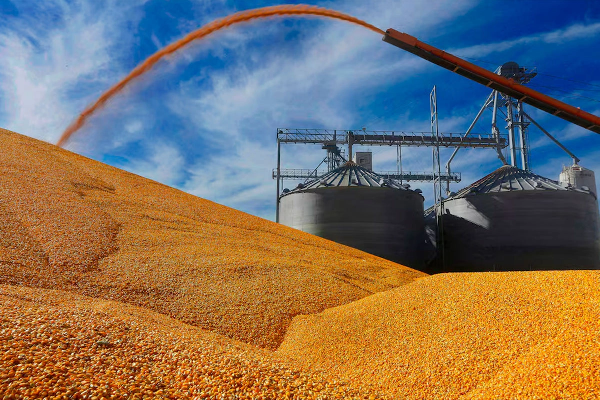 Reducción gradual de retenciones a granos y biocombustibles impulsa al sector agroindustrial