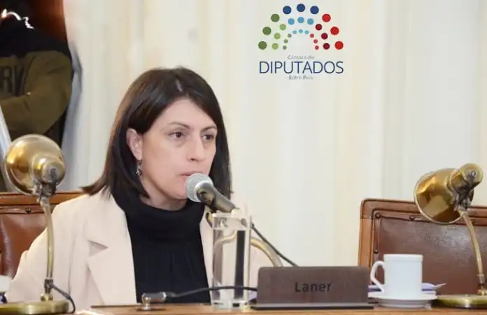 Laner: La reforma previsional garantiza el 82% móvil y ordena el sistema para sostenerlo en el tiempo