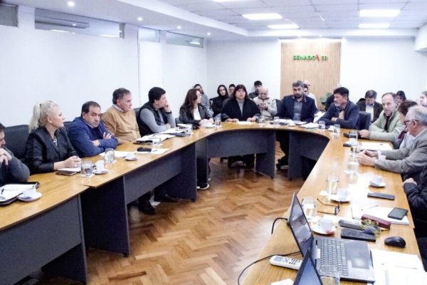 Senadores acuerdan cronograma de trabajo para la reforma previsional