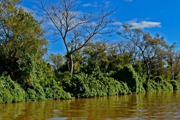 New Protected Areas Defined in Pre National Park