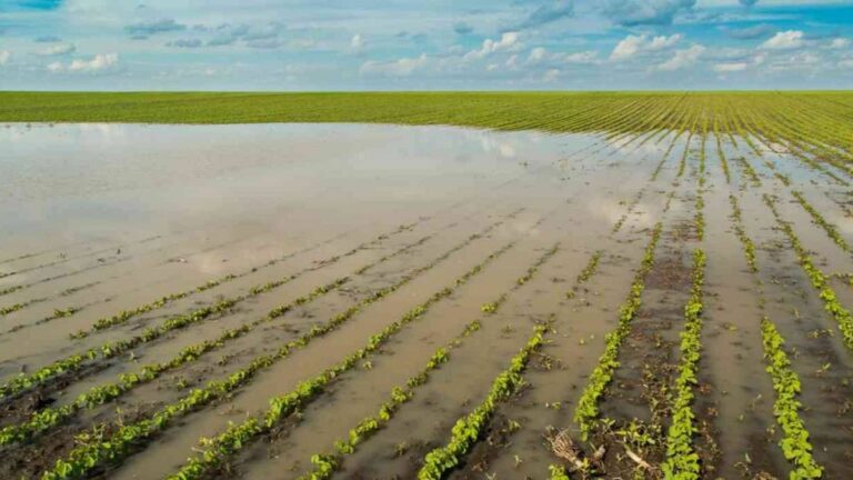 Súper El Niño: La Amenaza que Pone en Vilo a las Economías Regionales