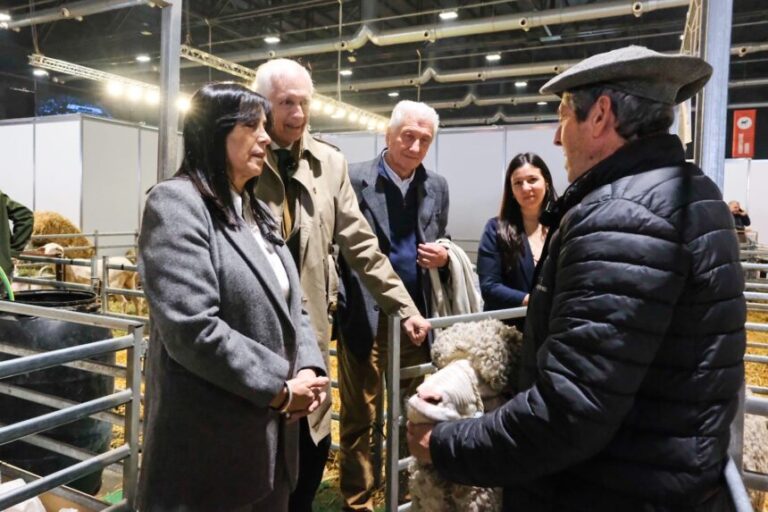 Reconocimiento provincial a cabañeros entrerrianos en la Expo Rural