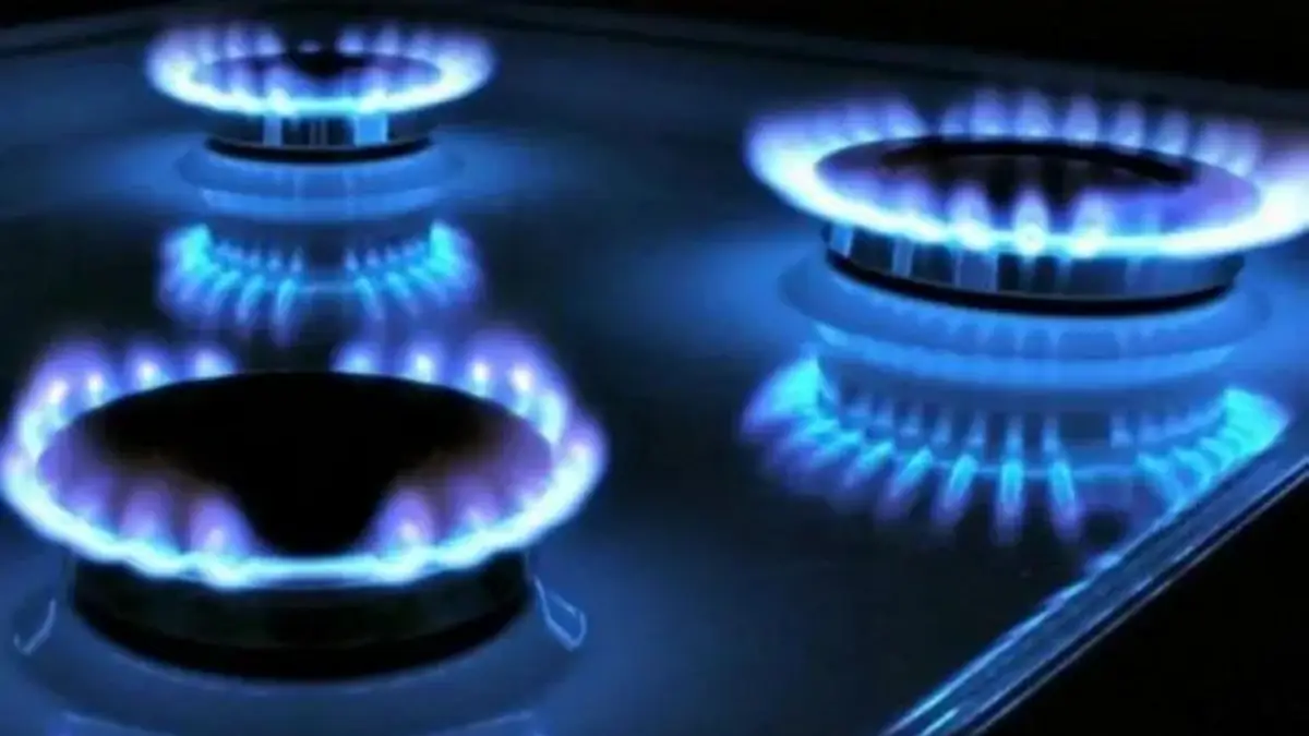 Gobierno introduce nuevo cargo adicional bimestral en las facturas de gas