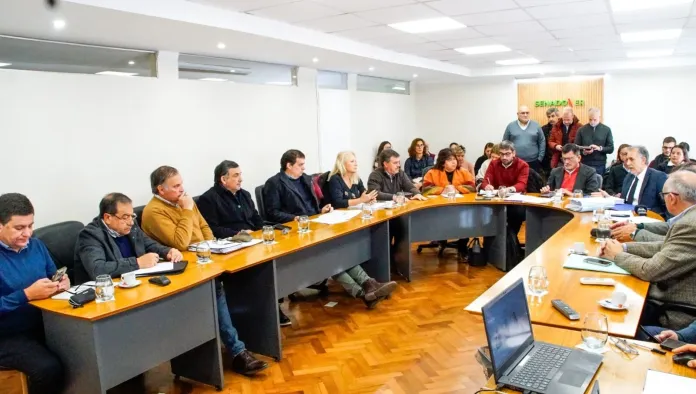 Reforma Previsional en el Senado: Debate en comisiones en la recta final