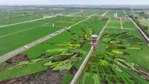 Cosecharás tu otra siembra: China rural cobra sus entradas
