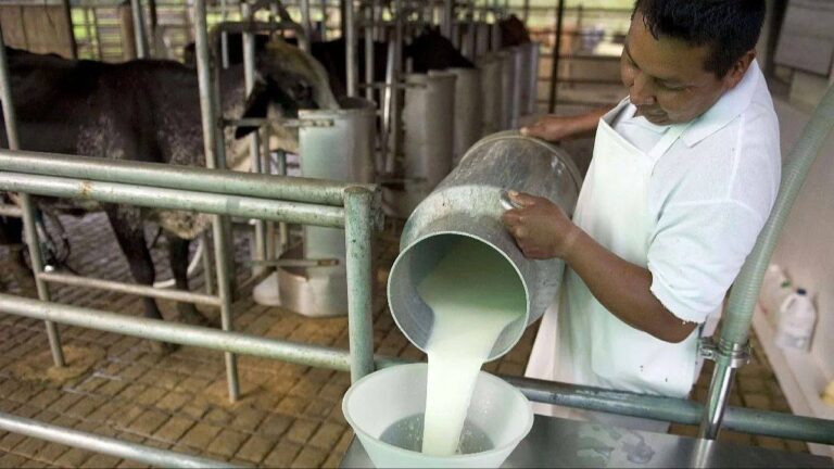 Government Permanently Removes Commercial Controls on the Dairy Sector