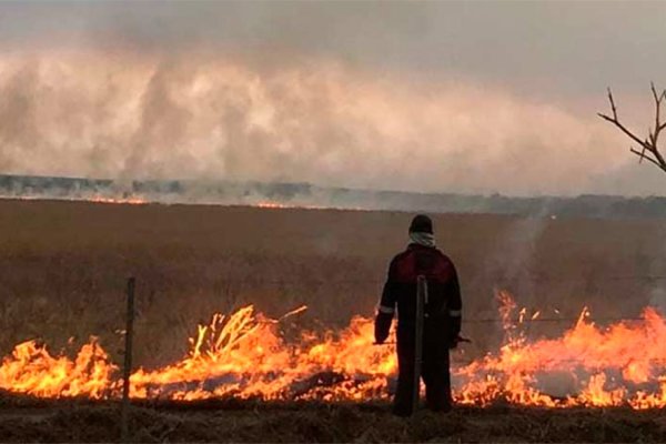 The Grave Danger of Burning Grasslands and Its Devastating Impact on Ecosystems
