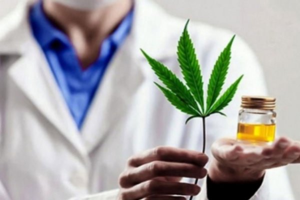 Nuevo Encuentro del Ciclo Cannabis, Ciencia, Sociedad y Derechos Humanos