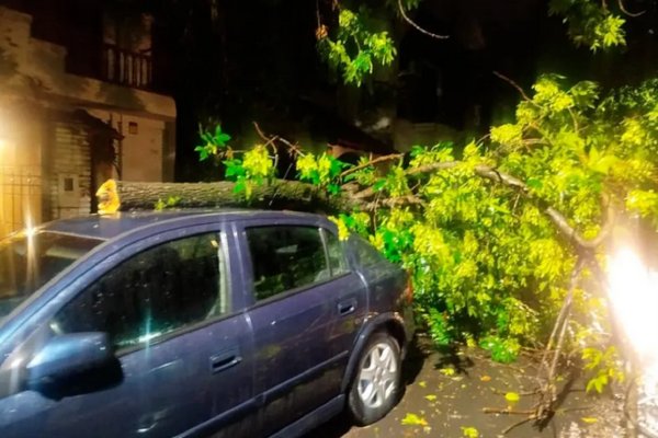 Asistencia coordinada del gobierno provincial a localidades afectadas por el temporal