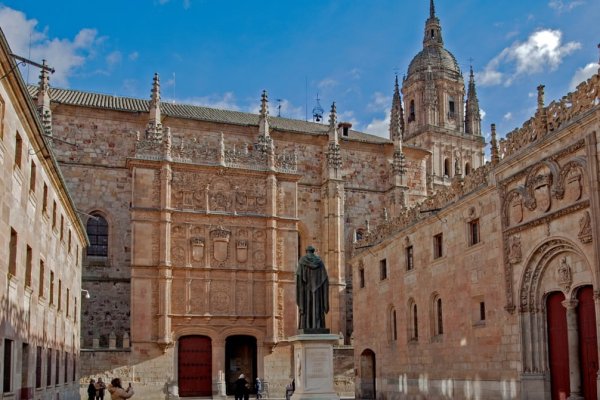 Cinco universidades entrerrianas se suman a una investigación internacional