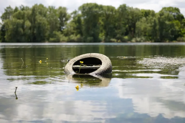 Contaminación del agua amenaza la vida