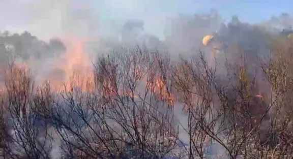 Voraz incendio en San Benito moviliza cuatro dotaciones