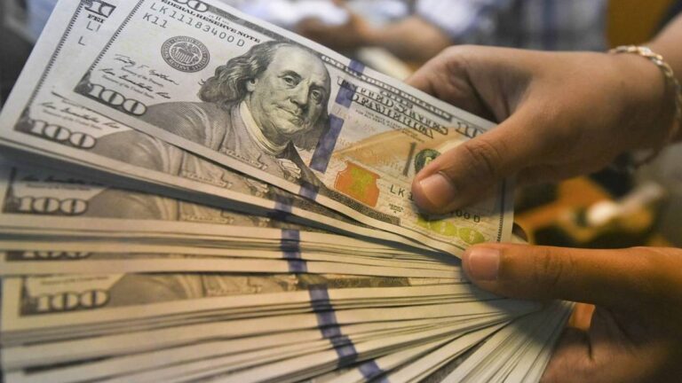 BCRA confirma cómo funcionará la cuenta sueldo en dólares: todos los detalles