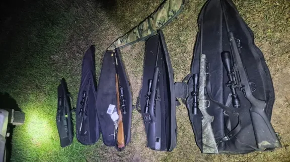 Desbaratan red de caza furtiva en Ibicuy