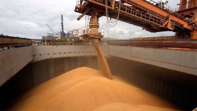 Argentine Soybean Farmers Await Better Prices as $9.076 Billion Goes Unsold