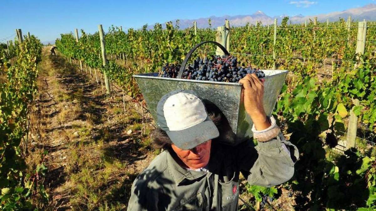 Falta de renovación de compatibilidad con planes sociales: 120.000 empleos rurales en peligro