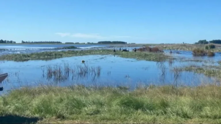 Argentina en alerta por el Súper El Niño: impacto económico y qué ocurrirá con los alimentos