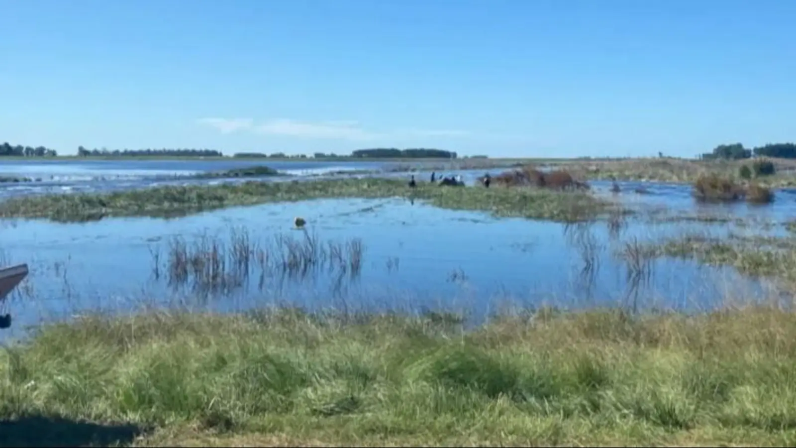 Argentina en alerta por el Súper El Niño: impacto económico y qué ocurrirá con los alimentos