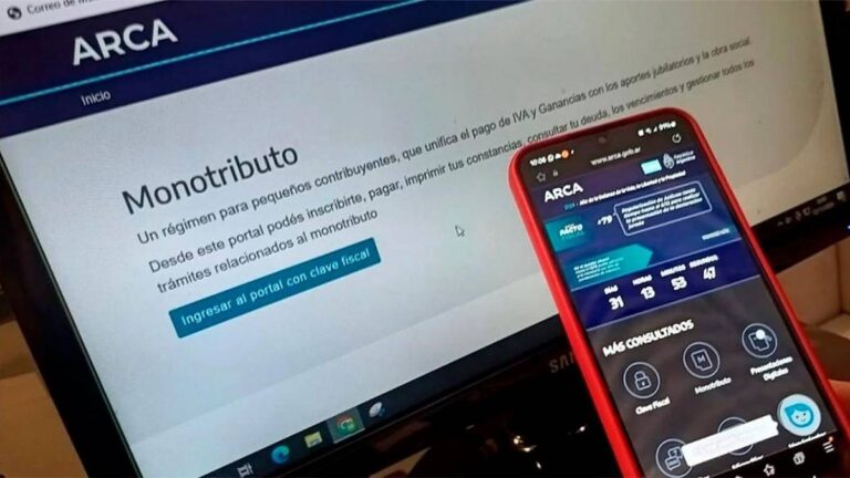 Monotributo: ningún aporte alcanza para financiar una jubilación mínima