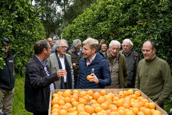 Frigerio recorrió plantaciones de cítricos en Concordia con productores