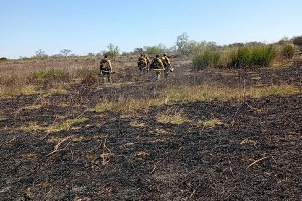 Despliegan monitoreo y control de incendios forestales en el ejido Victoria