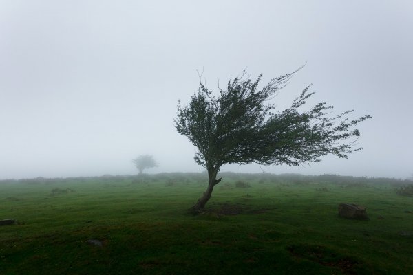 Viento fuerte y bajas temperaturas marcan la primavera en Entre Ríos