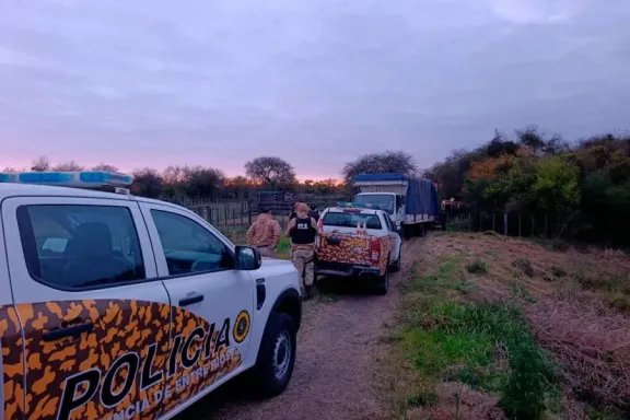 Frustran robo de 13 vacunos y buscan a dos prófugos