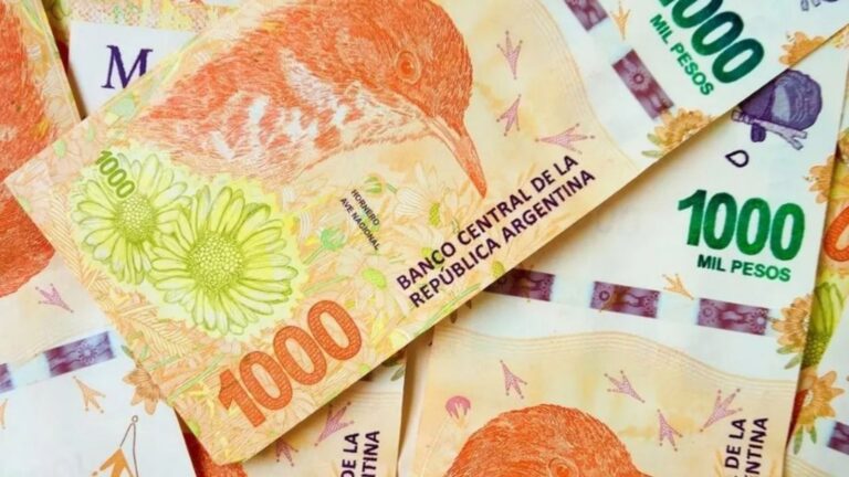 Aumento de la SUAF de ANSES en noviembre 2026: cuánto se cobraría el mes que viene