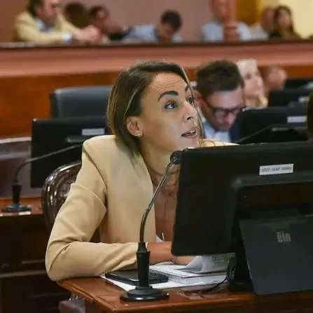 Media sanción en Diputados: proyecto para visibilizar y valorizar el trabajo de cuidado en Entre Ríos