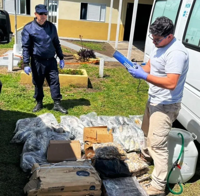 Detectan 200 kilos de pescados y mariscos irregulares