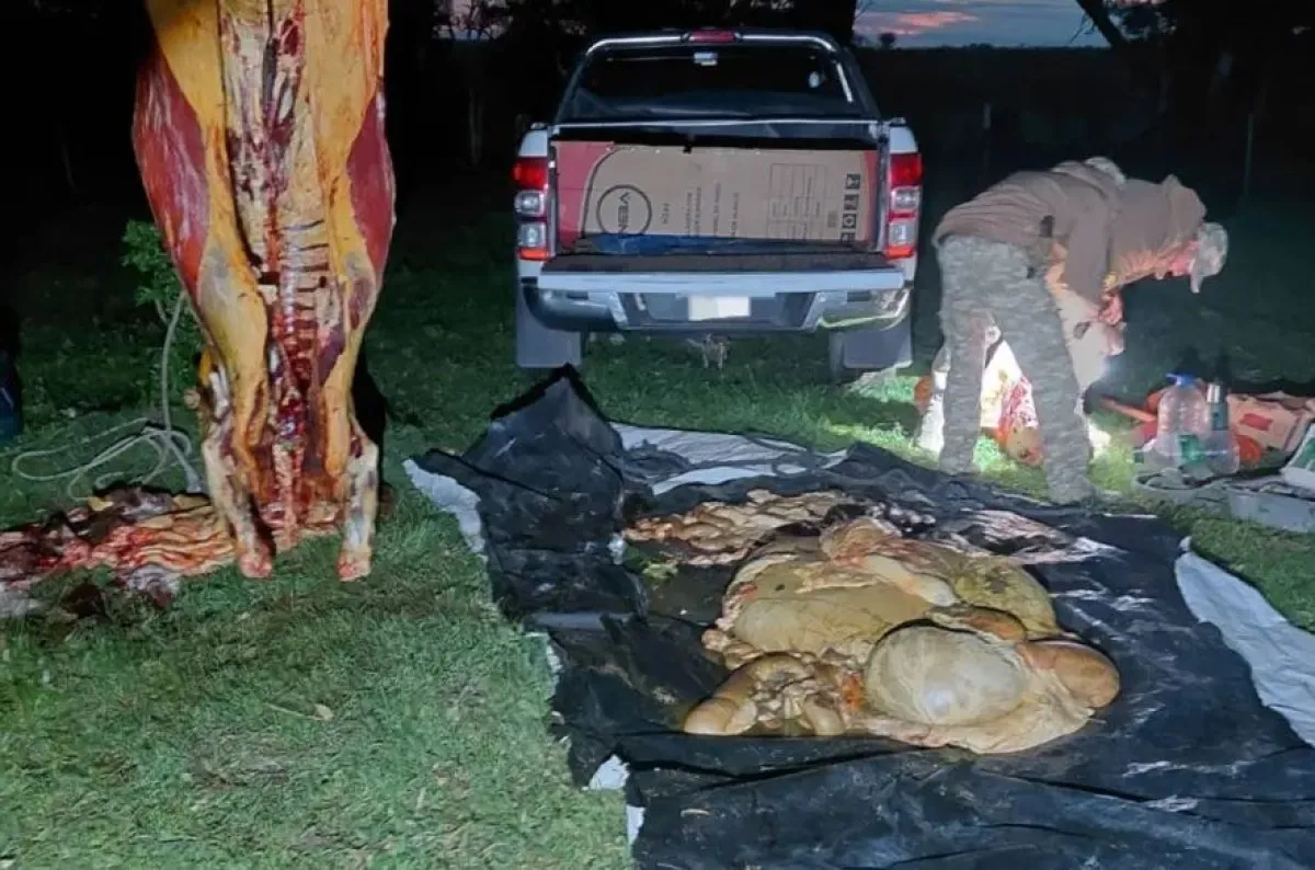 Sorprendidos faenando una vaca al constatar usurpación