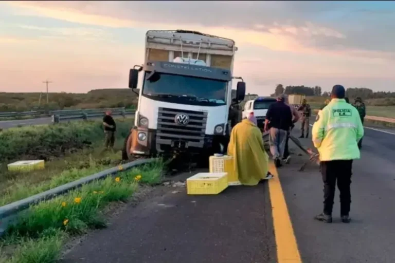 Ciervo provoca el despiste de un camión en la Autovía 14